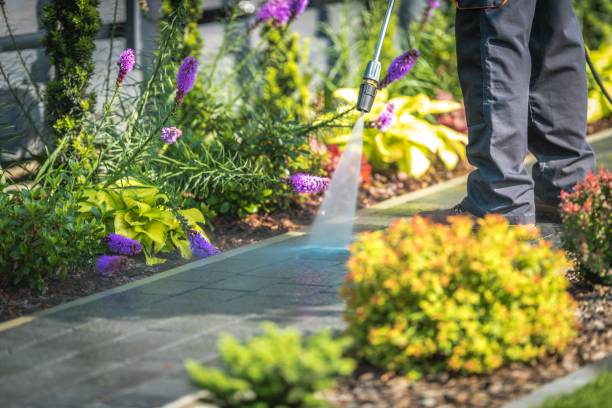 Reliable Imlay City, MI  Pressure Washing Services Solutions