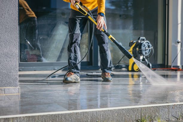 Best Dumpster Area Cleaning  in Imlay City, MI